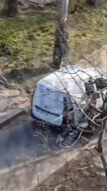 � ����������� �������� ������� �������� �������� 