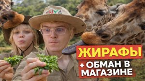 ДЕНЖЕР ЛЁХУ И МОРФИ ОБМАНУЛИ В МАГАЗИНЕ? | КОРМЛЕНИЕ ЖИРАФОВ С РУК В КЕНИИ | ДЕНЬ 1