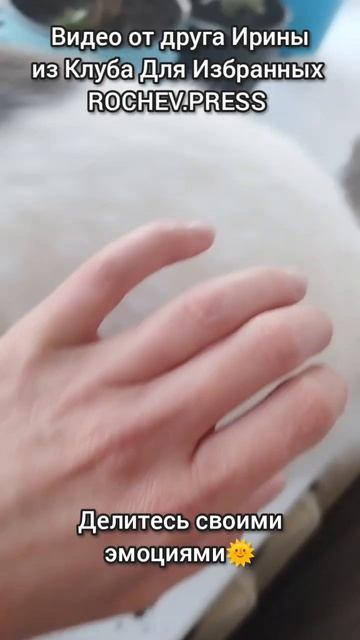 Делитесь своими эмоциями🌞 #котики #хаос #игры #rochevpress #личность #социальнаяпсихология