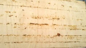 Первая побудительная подкормка весной. Часть2.