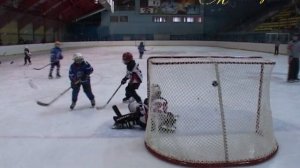 "MIMOXODOM", 28 марта 2011 год. Автор проекта О. Дзиов