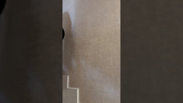 Охта парк Горная деревня