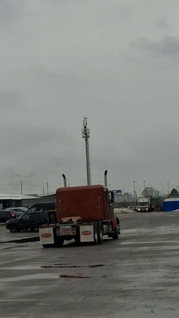 Тест Драйф)) PETERBILT  3 5 9