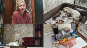 АРХИВ 2023 I у нас завелись тараканы! | vlog 16.06.2023