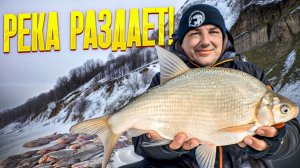 Рыбалка поневоле! Наловил мешок. Щука,налим судак, окунь, лещ, язь, сорога и ...?