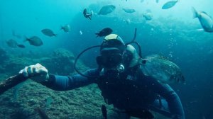 Дайвинг : Толстый мыс : Якорная банка