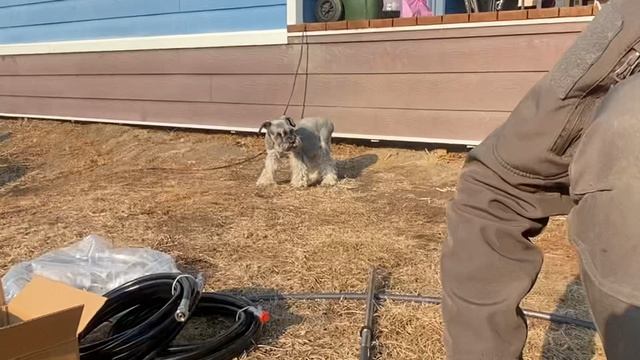 Купили катер за 100т.р. Оживляем Yamaha UF-20