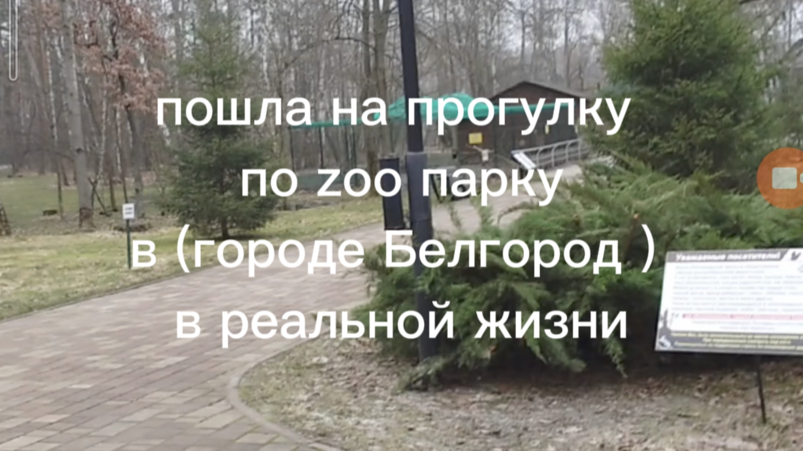пошла на прогулку  по zoo парку в городе Белгород   в реальной жизни