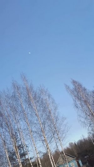 Ночь, улица, фонарь, аптека - Блок А. А.