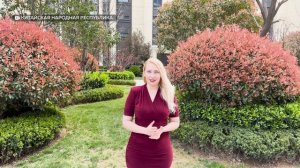 Мир сузился: как изменились путешествия и куда едут туристы