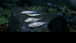 Отрывок из сериала "Одна из многих" (1сезон,7серия)