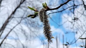 In the empty classroom