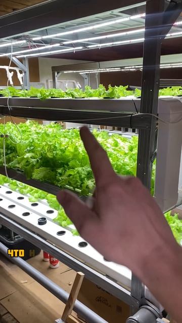 Микроклимат