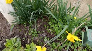 Улитки атакуют🥺