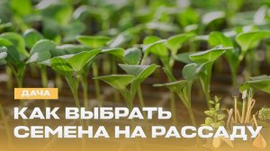 Подрезка садовых деревьев | Как выбрать семена? | Что такое флорариум? | Дача