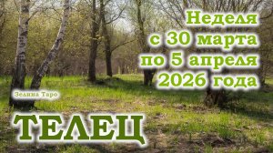 ТЕЛЕЦ | ТАРО прогноз на неделю с 30 марта по 5 апреля 2026 года