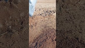 Финский залив 🌊