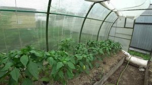 Влог от 13.06.2022