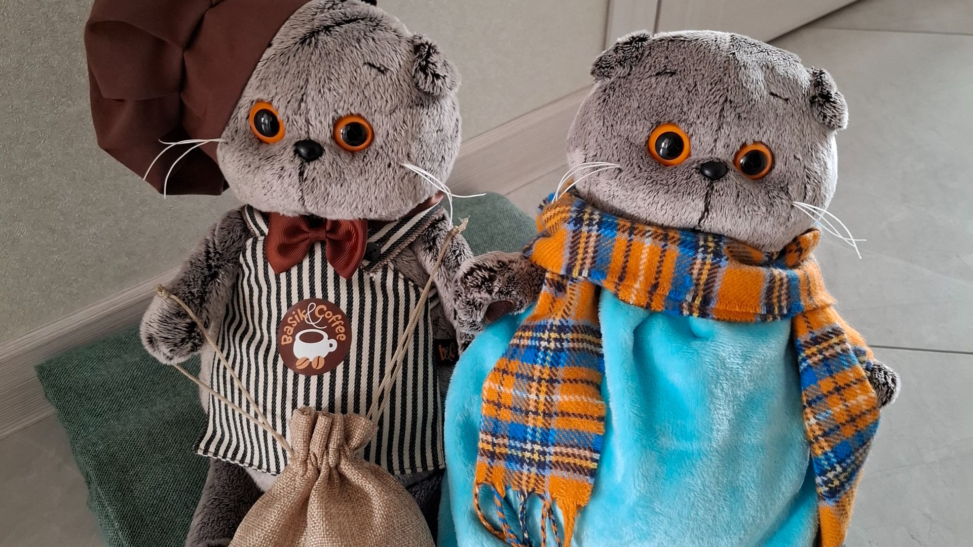 КОТ БАСИК. Детективное агентство. Часть 6. Что задумал Злыдень?