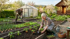 Дела огородные. ВЕСНА!!!