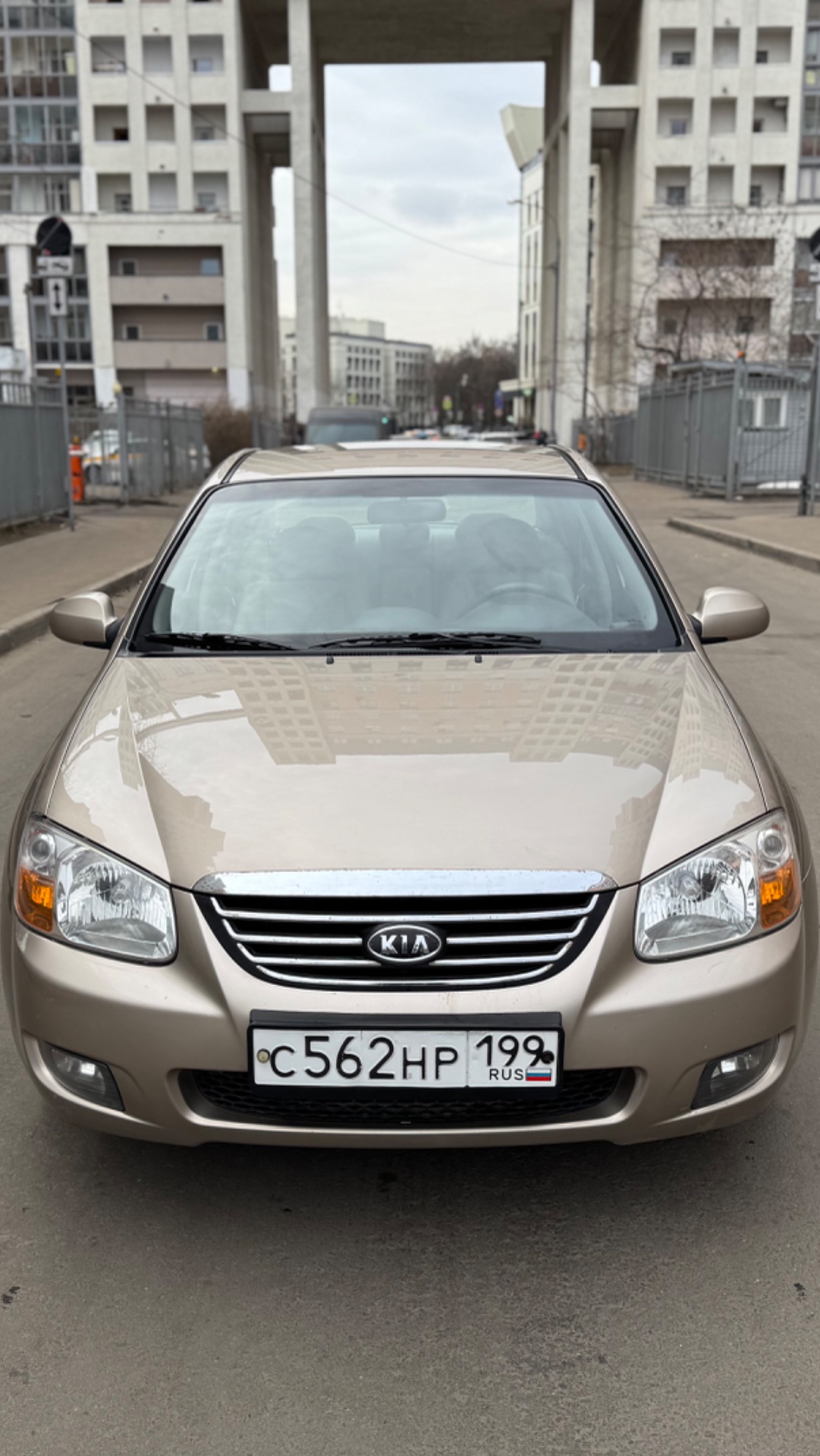 Cerato