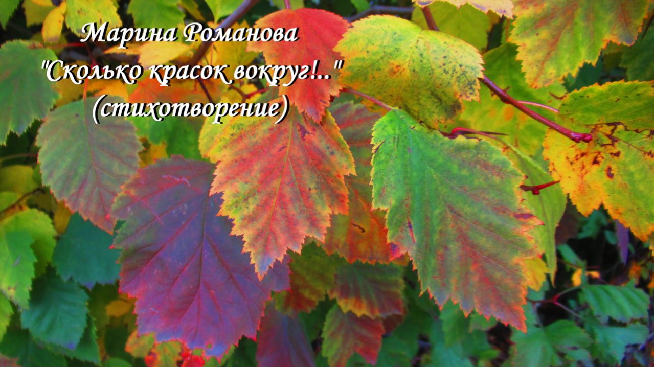 © Марина Романова "Сколько красок вокруг!.." (стихотворение 14.10.2022)
