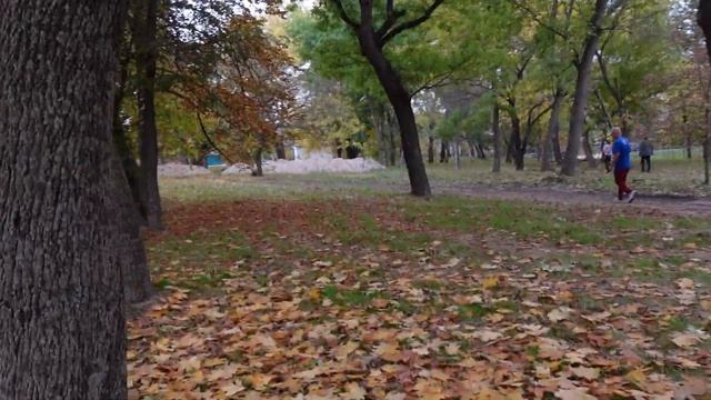 Осень Каменка, Валя-Адынкэ смотреть онлайн