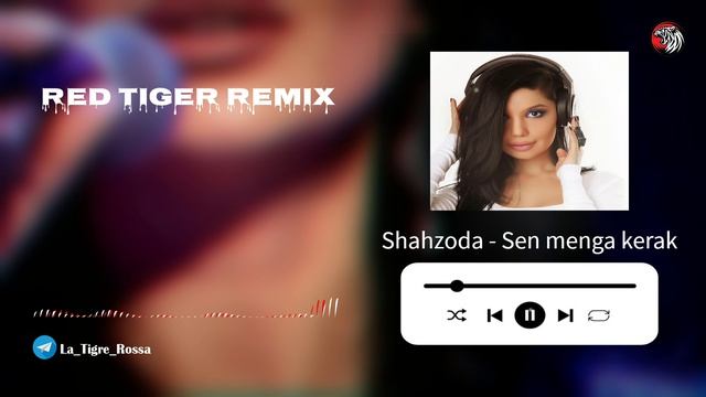 Shahzoda - Sen menga kerak ( Red Tiger remix )