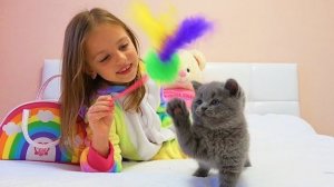 24 часа с моим ПИТОМЦЕМ котёнок ТИМ Настя кормит и ухаживает Ведём к ветеринару ПОКУПКИ для питомца