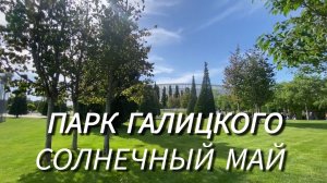 Парк Галицкого весной. Поле с шалфеем, розы, одуванчики✅