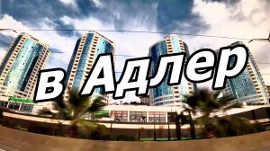 ИЗ МАЦЕСТЫ В АДЛЕР. АВТОДОРОГА А-147. ВИД ИЗ ОКНА АВТОМОБИЛЯ. СОЧИ. 24 НОЯБРЯ 2025 ГОДА.