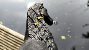 Красивое видео моего канала.