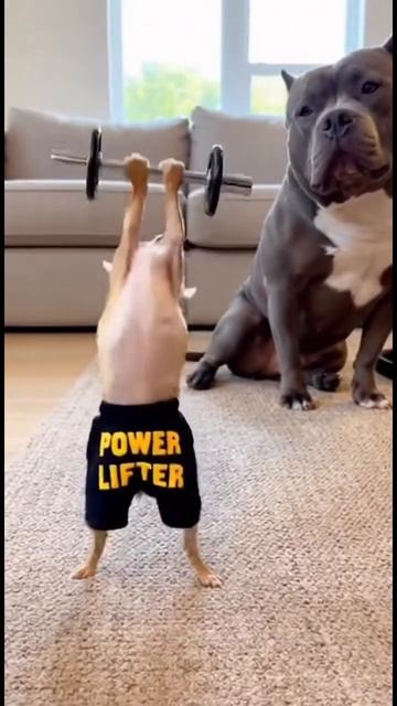 Все могут заниматься спортом