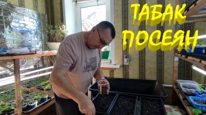 Наконец-то ПОСЕЯЛИ ТАБАК. Отремонтировали крышу. Наша ЖИЗНЬ В ДЕРЕВНЕ