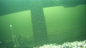 1000012492.mp4Волга гл.2м.28.03.2026г.