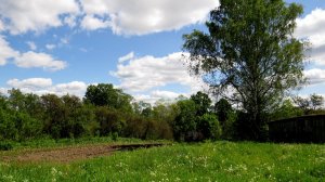 Под пение птиц...