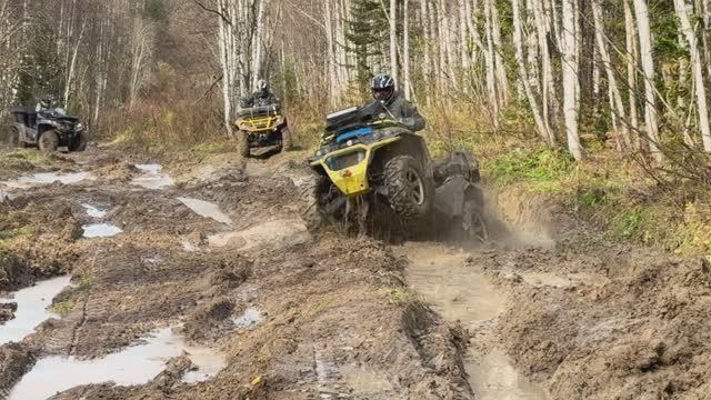 Заводной выходной Drink Team