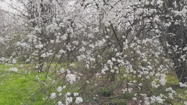 Не грусти! Весна пришла!