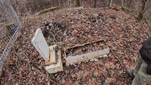 Усадьба Ольгино (старый заброшенный больничный городок) в Рамони. 18.01.2025