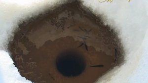 "МИМОХОДОМ", 28 марта 2012 год. Автор проекта О. Дзиов