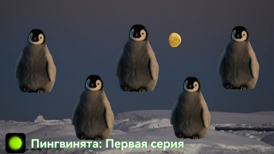 Пингвинята - Первая серия - Разрушение Антарктиды / The Little Penguins