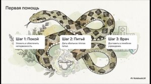 Биология 8 класс параграф 41 Многообразие и значение пресмыкающихся в природе и жизни человека