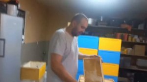 Откачка Двухматочных Семей!!! На Сколько Мёда Больше!!!