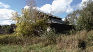 Звуки природы. Птицы. Дрозд певчий в деревне