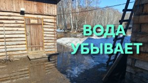 Наводнение пошло на убыль Ну а куры делают свое дело пока на троечку