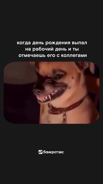 Я не договорила