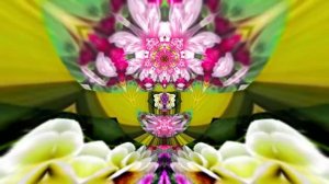 Футажи! Футаж Очаровательные фантастические пейзажи 3!