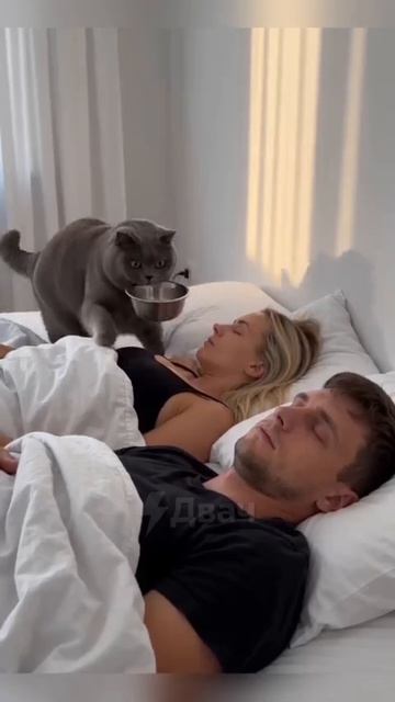 УТРО СУББОТЫ нейросеть