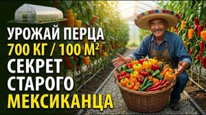 Посадите перец вот так будете собирать урожай круглый год — секрет мексиканского фермера!