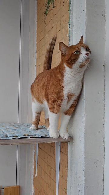 Когда все дома